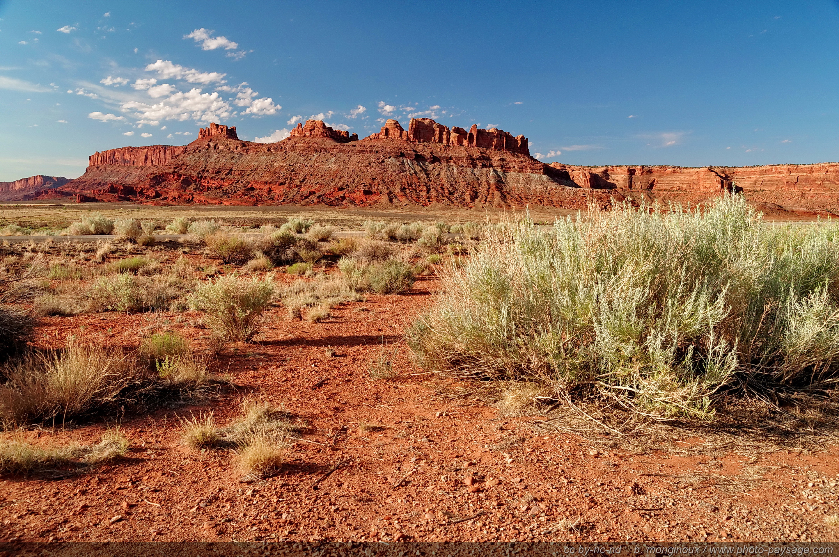 paysage-desert