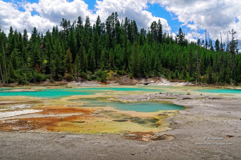 Cracking lake ,  Norris geyser basin
Parc national de Yellowstone, Wyoming, USA
Mots-clés: source_thermale yellowstone wyoming usa categorielac foret_usa conifere