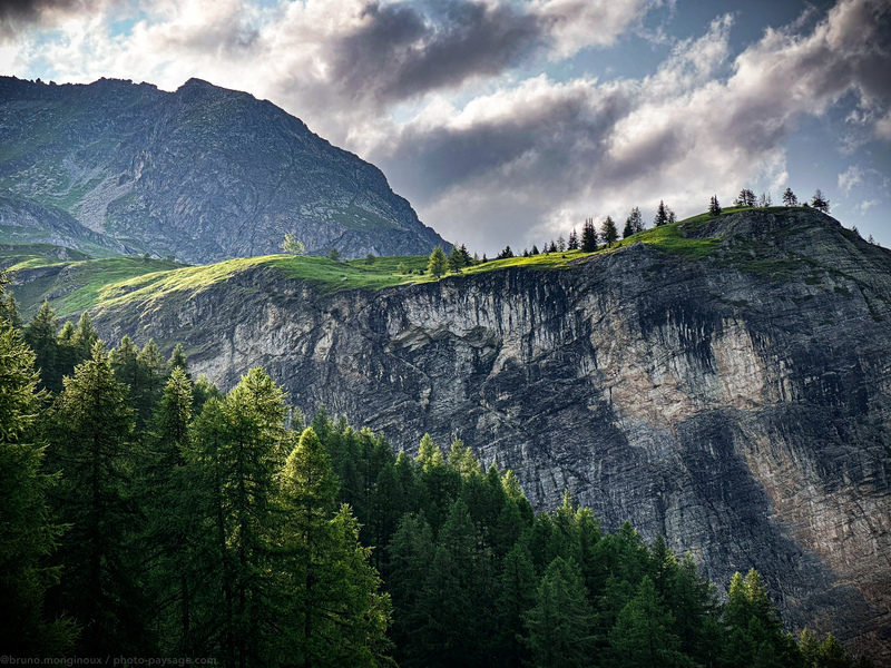 Paysage alpin
Tignes, Savoie 
Mots-clés: Foret_alpes categ_ete