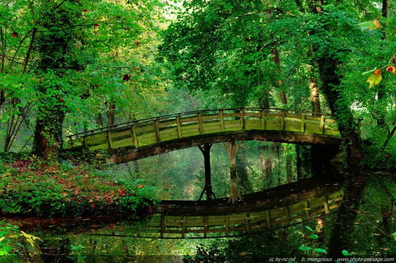Un petit pont en forêt se reflète dans l'eau
On croirait presque une peinture impressionniste, non ? ;)
Mots-clés: categ_pont passerelle reflets categorieautreforet les_plus_belles_images_de_nature ruisseau riviere