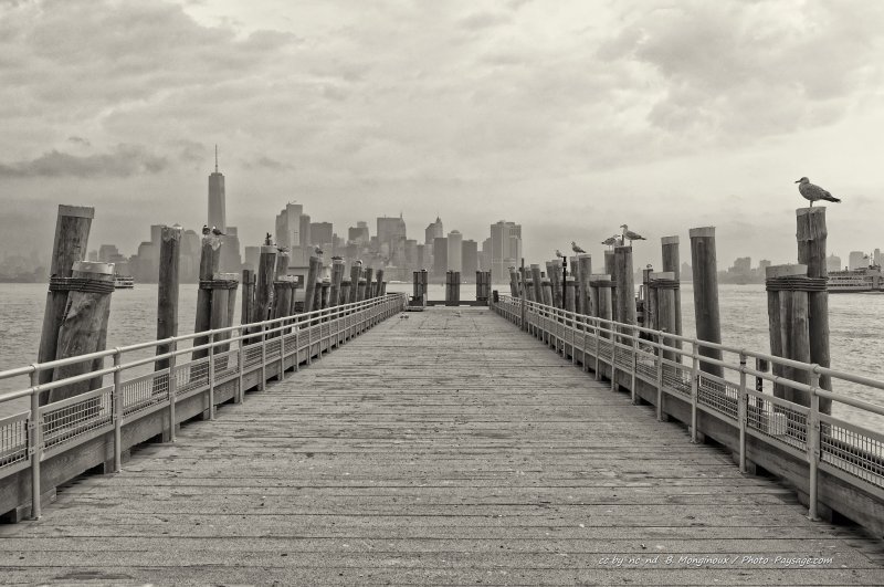 Des mouettes sur une jetée dans la baie de New York
Photo prise depuis Liberty Island. En arrière plan, les gratte-ciels du sud de Manhattan.
New-York, USA
Mots-clés: noir_et_blanc oiseau jetee