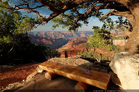 Assis-sur-un-banc-au-bord-du-Grand-Canyon.jpg