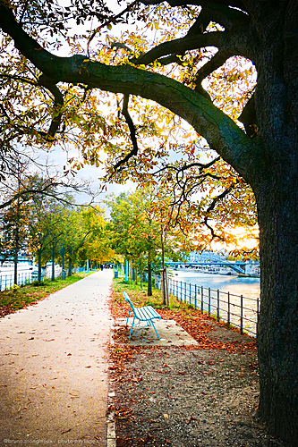 Nom du fichier=Banc-automne-la_Seine-allee-cygnes-P1100217.jpeg
Taille du fichier=11347Ko
Dimensions : 3161x4742
Ajouté le : 19 Octobre 2025 Nom du fichier=Banc-automne-la_Seine-allee-cygnes-P1100217.jpeg
Taille du fichier=11347Ko
Dimensions : 3161x4742
Ajouté le : 19 Octobre 2025