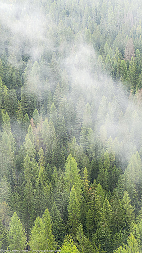 Nom du fichier=Brume-foret-Dolomites-IMG_6710.jpeg
Taille du fichier=5131Ko
Dimensions : 2268x4032
Ajouté le : 14 Septembre 2025 Nom du fichier=Brume-foret-Dolomites-IMG_6710.jpeg
Taille du fichier=5131Ko
Dimensions : 2268x4032
Ajouté le : 14 Septembre 2025