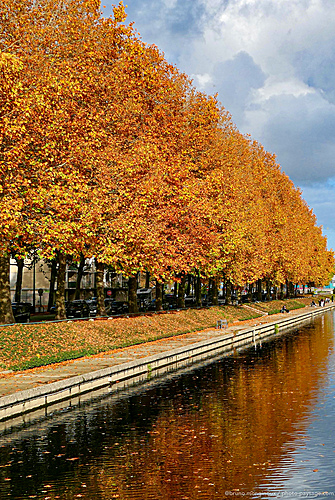 Nom du fichier=Caen-automne-Orne-1100427.jpeg
Taille du fichier=4727Ko
Dimensions : 1863x2778
Ajouté le : 18 Novembre 2025 Nom du fichier=Caen-automne-Orne-1100427.jpeg
Taille du fichier=4727Ko
Dimensions : 1863x2778
Ajouté le : 18 Novembre 2025