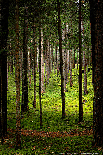 Nom du fichier=Fond_ecran_foret-Tyrol-1080970.jpeg
Taille du fichier=7861Ko
Dimensions : 2549x3824
Ajouté le : 22 Août 2025 Nom du fichier=Fond_ecran_foret-Tyrol-1080970.jpeg
Taille du fichier=7861Ko
Dimensions : 2549x3824
Ajouté le : 22 Août 2025