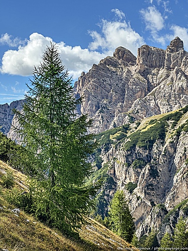 Nom du fichier=Meleze-dolomites-trois_cimes-IMG_7032.jpeg
Taille du fichier=6618Ko
Dimensions : 3024x4032
Ajouté le : 14 Septembre 2025 Nom du fichier=Meleze-dolomites-trois_cimes-IMG_7032.jpeg
Taille du fichier=6618Ko
Dimensions : 3024x4032
Ajouté le : 14 Septembre 2025