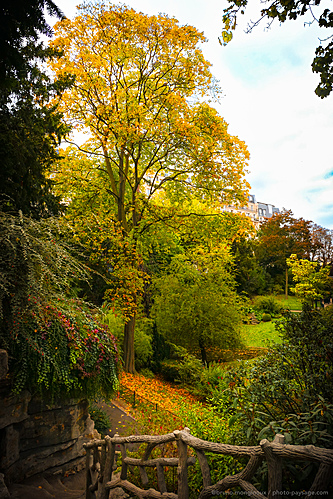 Nom du fichier=Nature_urbaine-automne-Trocadero-1100117.jpeg
Taille du fichier=15282Ko
Dimensions : 3648x5472
Ajouté le : 19 Octobre 2025 Nom du fichier=Nature_urbaine-automne-Trocadero-1100117.jpeg
Taille du fichier=15282Ko
Dimensions : 3648x5472
Ajouté le : 19 Octobre 2025