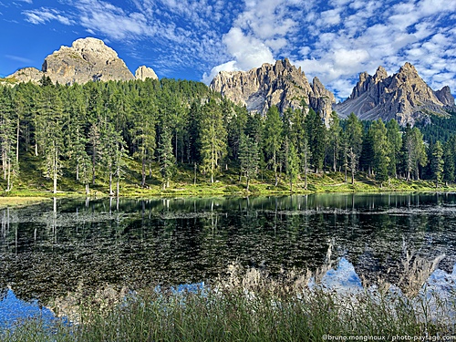 Nom du fichier=Reflets-lac-antorno-Dolomites-IMG_7115.jpeg
Taille du fichier=22807Ko
Dimensions : 8064x6048
Ajouté le : 14 Septembre 2025 Nom du fichier=Reflets-lac-antorno-Dolomites-IMG_7115.jpeg
Taille du fichier=22807Ko
Dimensions : 8064x6048
Ajouté le : 14 Septembre 2025