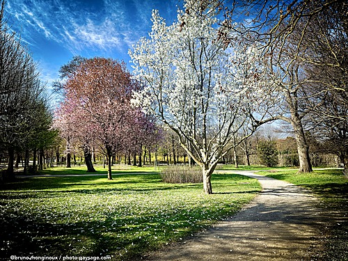 Nom du fichier=Vienne-arbres_en_fleurs-IMG_4784.jpeg
Taille du fichier=15520Ko
Dimensions : 6000x4500
Ajouté le : 03 Mai 2025 Nom du fichier=Vienne-arbres_en_fleurs-IMG_4784.jpeg
Taille du fichier=15520Ko
Dimensions : 6000x4500
Ajouté le : 03 Mai 2025
