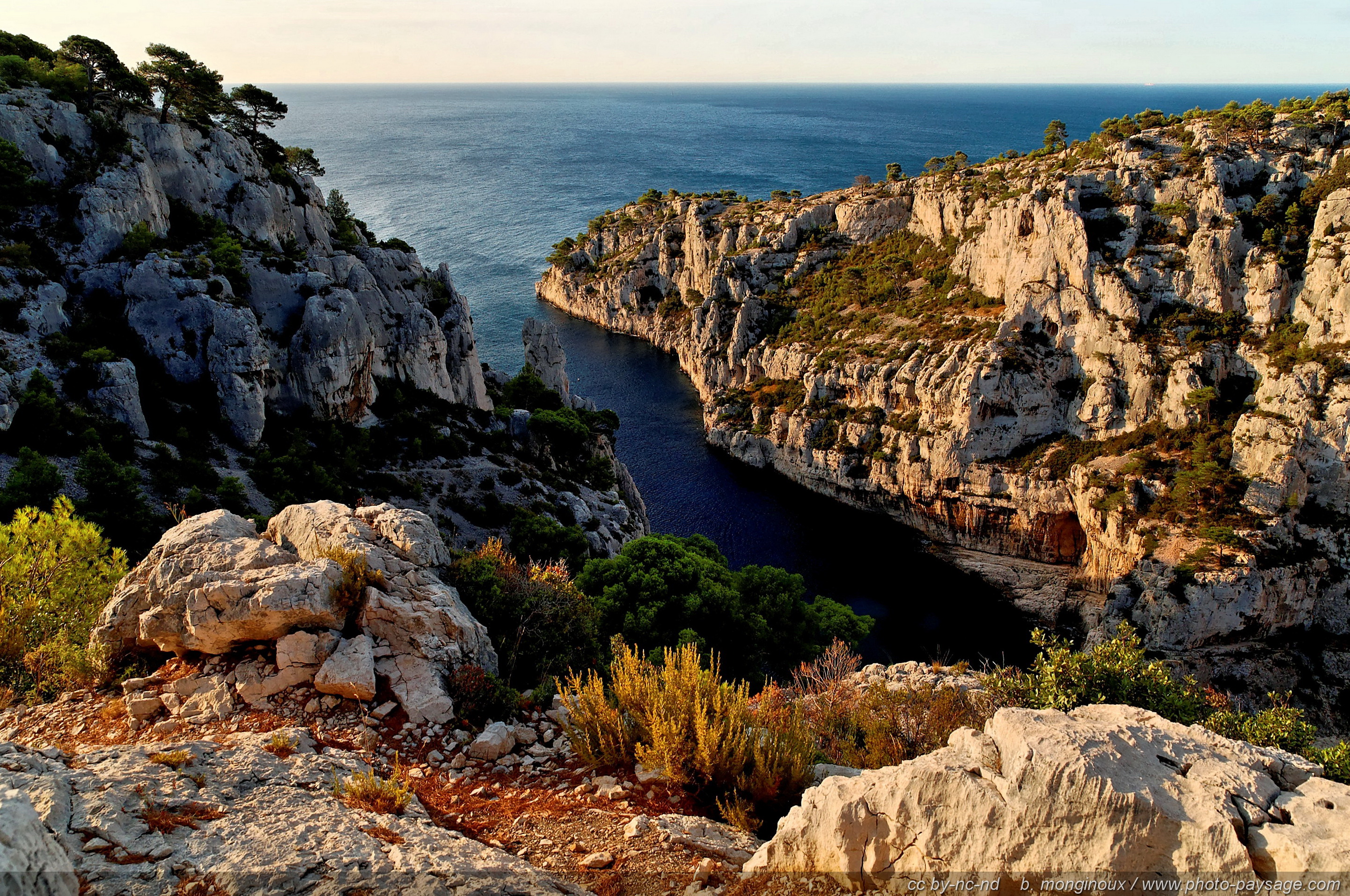 pins-falaises-calanque-en_vau-1.jpg