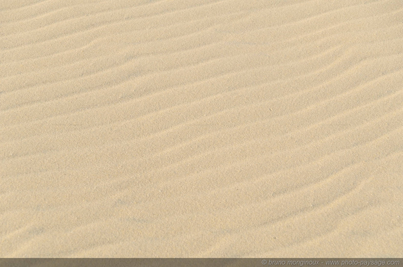 Texture_sur_sable_-07.jpg