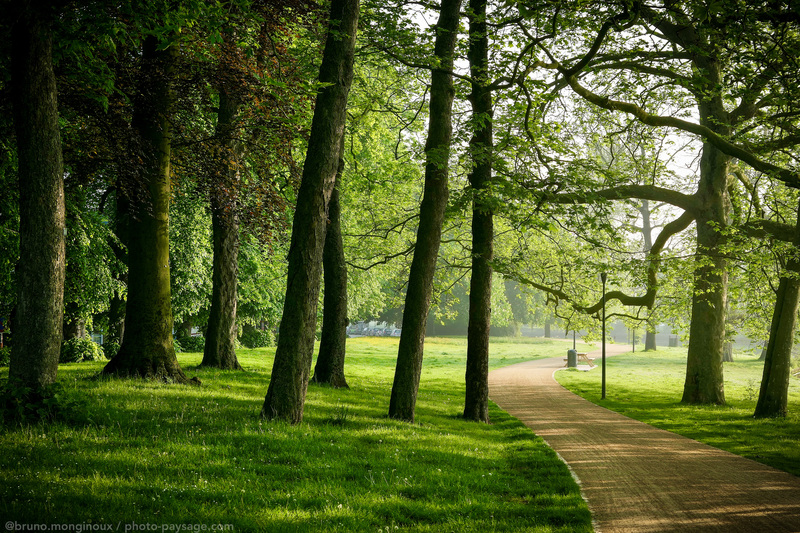 Ambiance zen, un petit matin dans un parc de Bruges
Bruges, Belgique 
Mots-clés: Chemin brume