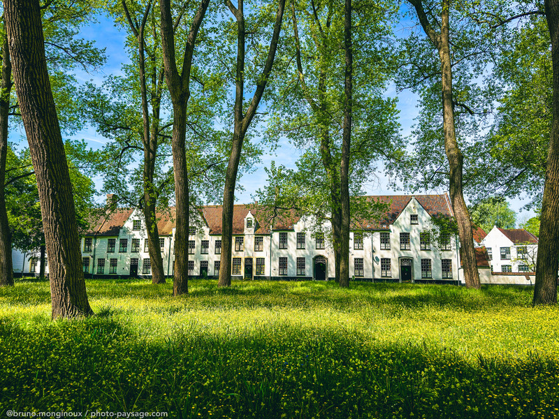 BÃ©guinage de Bruges
Belgique
Mots-clés: Printemps les_plus_belles_images_de_ville