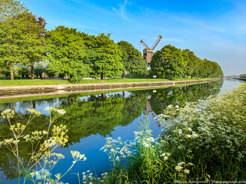 Reflets sur le canal et moulin à vent
Bruges, Belgique
Mots-clés: Reflet printemps moulin alignement_arbres canal