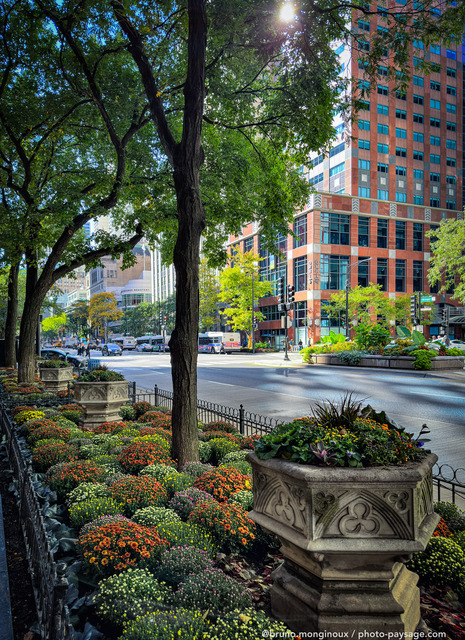 Chicago : Michigan avenue
Chicago, Illinois
Mots-clés: cadrage_vertical