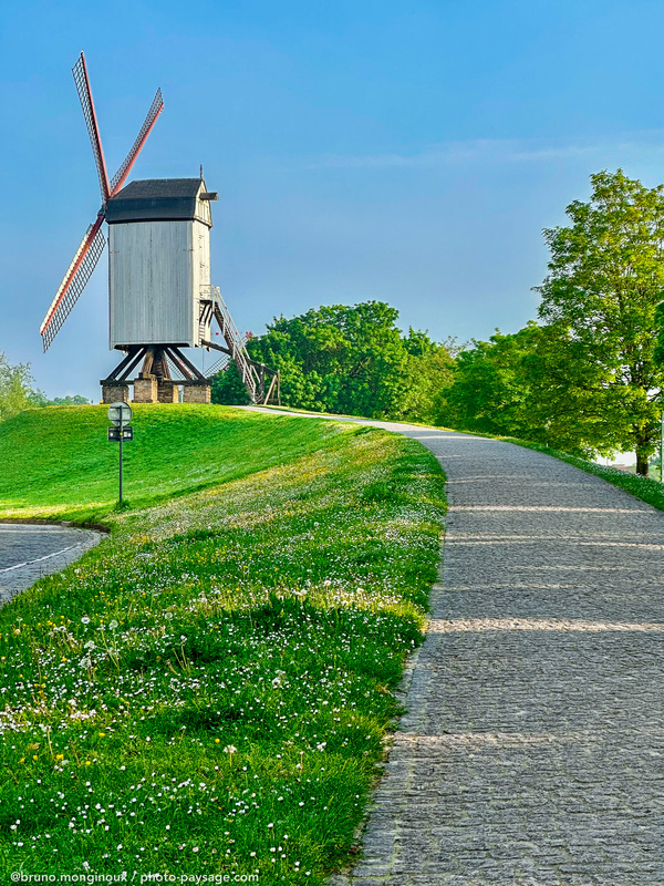 Moulin à vent
Bruges, Belgique
Mots-clés: Chemin printemps moulin cadrage_vertical