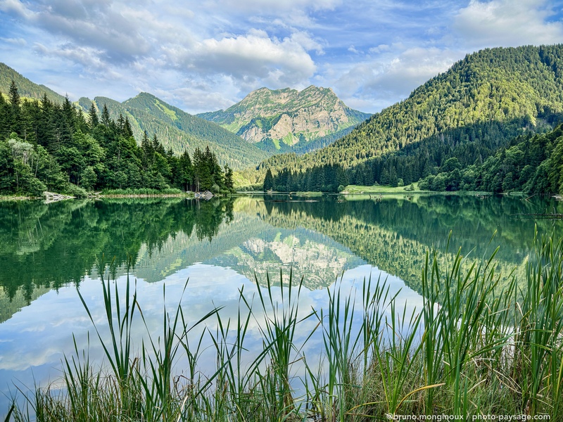 Reflets sur le lac de Vallon
Haute-Savoie
Mots-clés: les_plus_belles_images_de_nature Reflets foret_alpes alpes-fr-autres