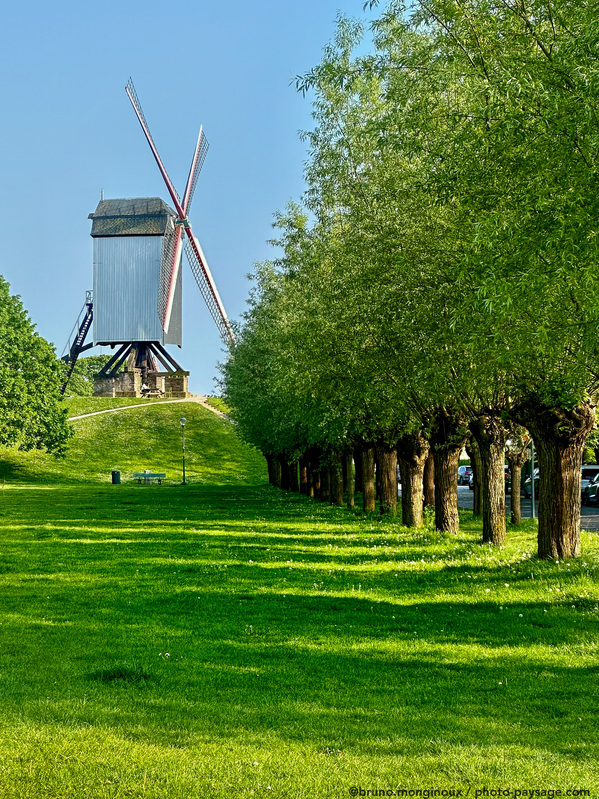 Moulin à vent
Bruges, Belgique
Mots-clés: Printemps moulin alignement_d_arbre cadrage_vertical