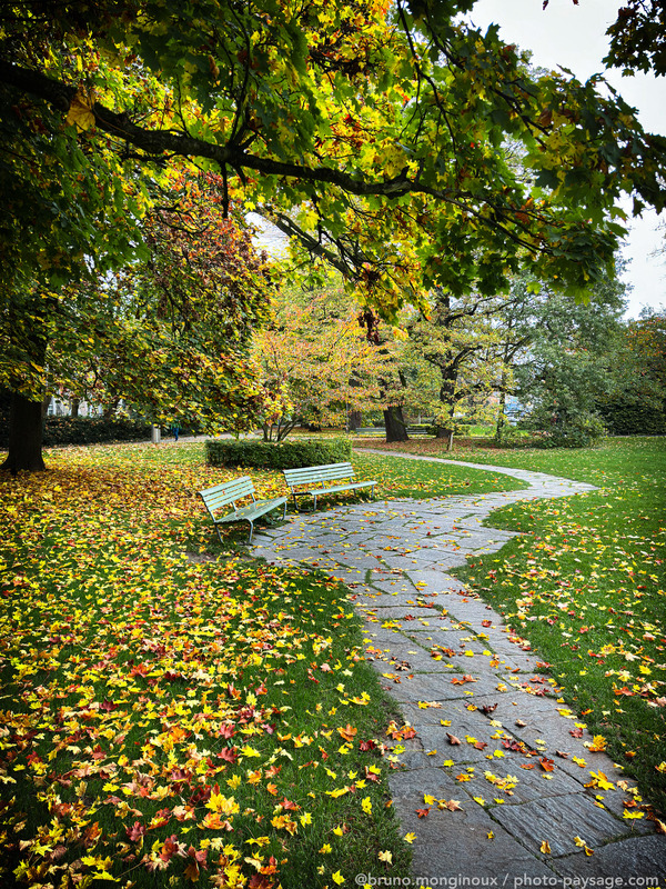 Chemin pavé en automne recouvert de feuilles mortes
Arboretum, Zurich, Suisse
Mots-clés: Automne cadrage_vertical feuilles_mortes chemin sentier belles-photos-automne