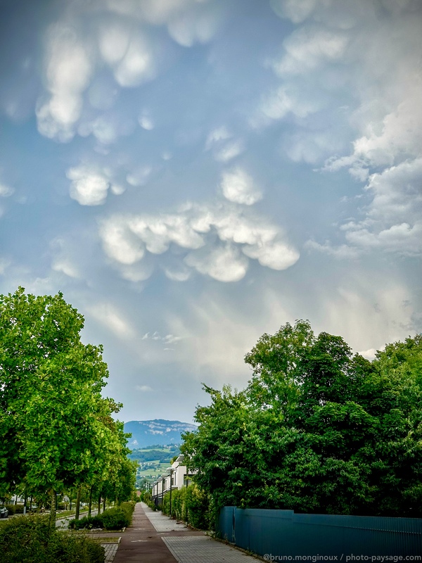 Nuages mammatus
Aix-les-Bains, Savoie
Mots-clés: Cadrage_vertical categ_ete pluie