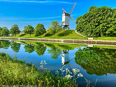 Bruges-moulin-a-vent-reflet-IMG_1228.jpeg