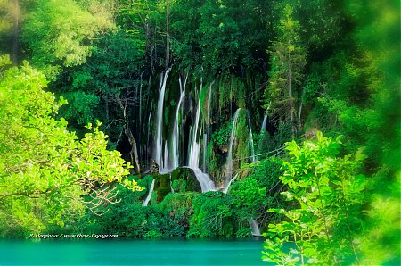 Poster panoramique nature et cascade dans la forêt d'émeraude