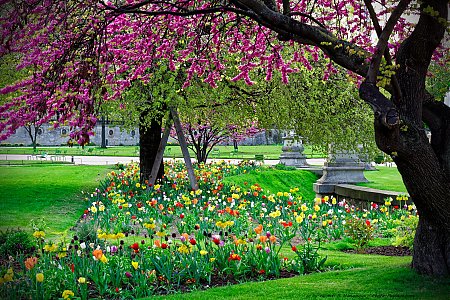 Les plus belles images de printemps - Photo-Paysage.com ...