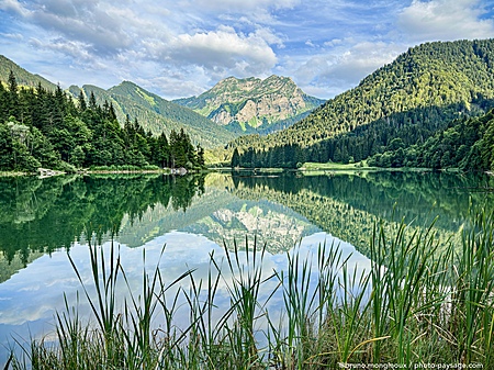 Reflets-lac_de_Vallon-IMG_1865.jpeg