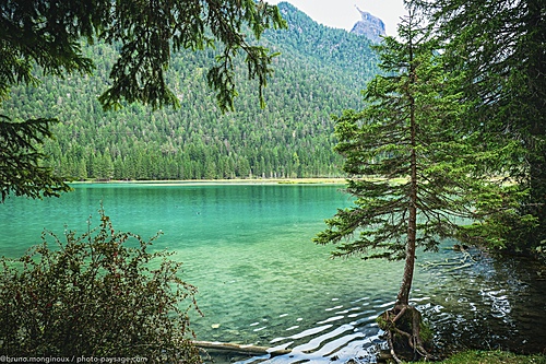Nom du fichier=lac_magnifique-Dobbiaco-Dolomites-1090566.jpeg
Taille du fichier=10136Ko
Dimensions : 5332x3555
Ajouté le : 19 Septembre 2025 Nom du fichier=lac_magnifique-Dobbiaco-Dolomites-1090566.jpeg
Taille du fichier=10136Ko
Dimensions : 5332x3555
Ajouté le : 19 Septembre 2025