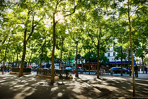 Nom du fichier=rayon-soleil-arbre-jungle_urbaine-Paris-1100295.jpeg
Taille du fichier=12292Ko
Dimensions : 5472x3648
Ajouté le : 29 Décembre 2025 Nom du fichier=rayon-soleil-arbre-jungle_urbaine-Paris-1100295.jpeg
Taille du fichier=12292Ko
Dimensions : 5472x3648
Ajouté le : 29 Décembre 2025